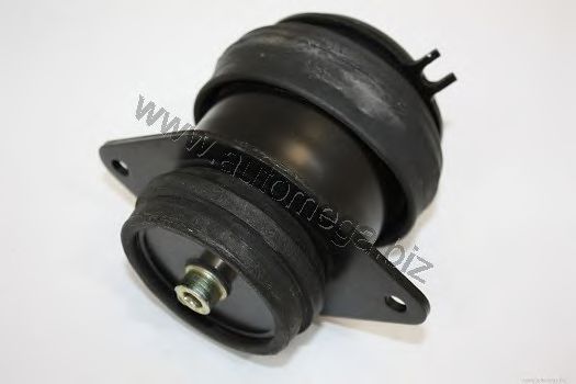 Подушка двигателя AUTOMEGA 1019902621H0B