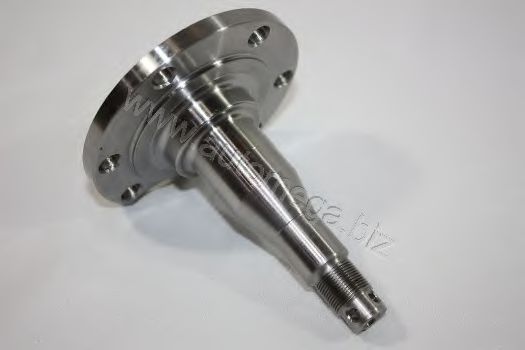 Ступица колеса AUTOMEGA 3050101178D0C AutoMega Premium