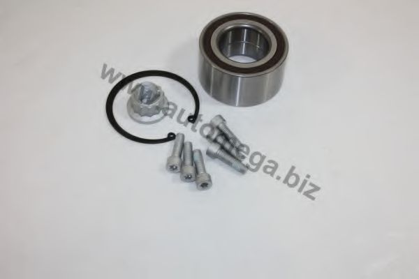 Ступичный подшипник AUTOMEGA 3049802877L0