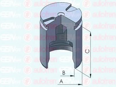 Поршень тормозного суппорта AUTOFREN SEINSA D025281