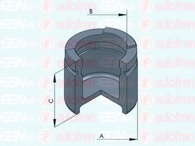 Поршень тормозного суппорта AUTOFREN SEINSA D025458