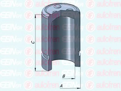 Поршень тормозного суппорта AUTOFREN SEINSA D025342