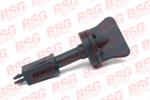 Болт воздушного клапана / вентиль, радиатор BSG BSG 30-521-001
