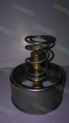 Термостат THERMOTEC D2RV005TT