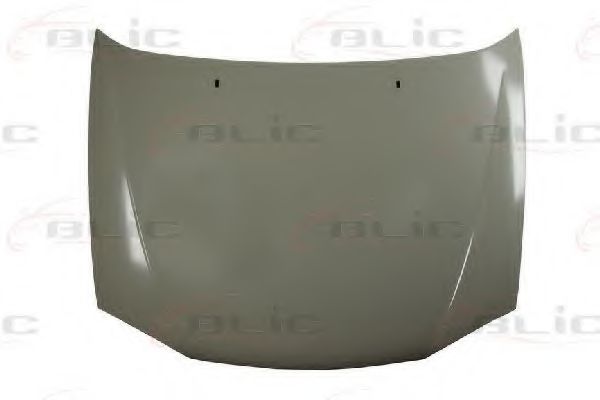 Капот BLIC 6803-00-2563282P