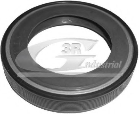 Сальник дифференциала 3RG 80211