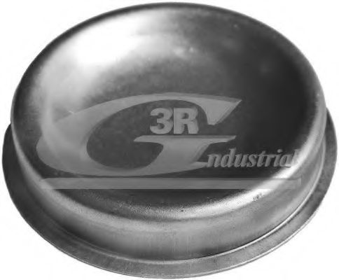 Кришка маточини 3RG 80226