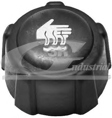 Пробка расширительного бачка 3RG 81601