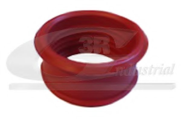 Впускной патрубок 3RG 81233