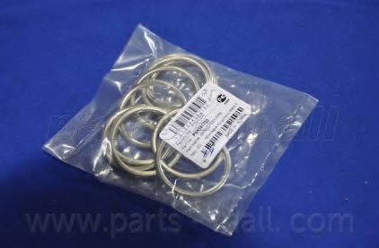 Уплотнительное кольцо, труба выхлопного газа PARTS-MALL P1N-C003