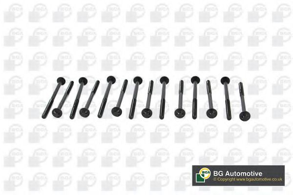 Комплект болтов головки блока цилиндров (ГБЦ) BGA BK2305