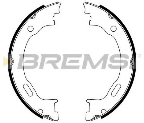 Тормозные колодки ручника BREMSI GF0310