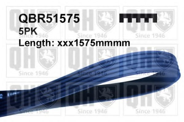 Поликлиновой ремінь QUINTON HAZELL QBR51575