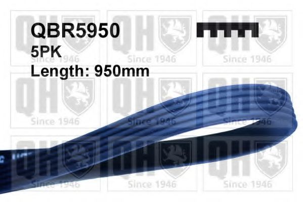 Поликлиновой ремень QUINTON HAZELL QBR5950