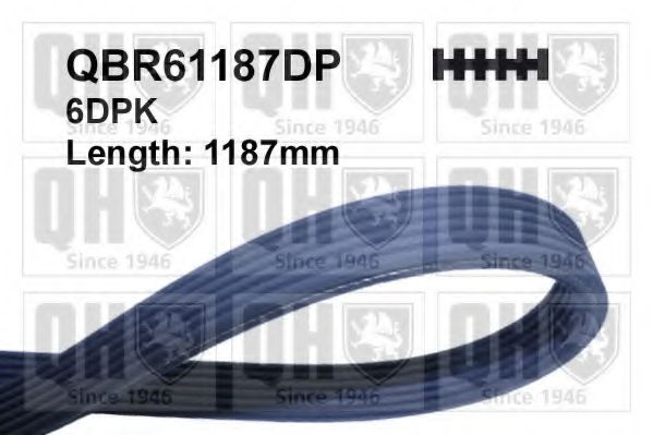 Поликлиновой ремень QUINTON HAZELL QBR61187DP