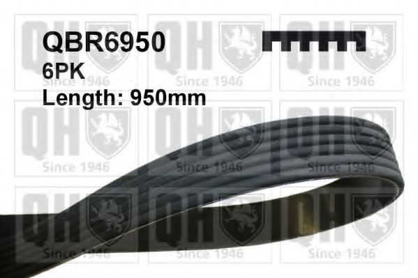 Поликлиновой ремінь QUINTON HAZELL QBR6950