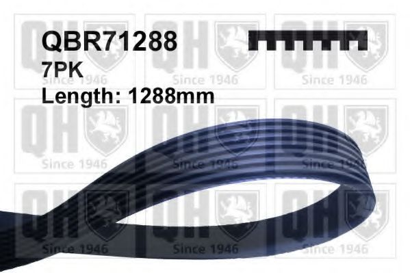 Поликлиновой ремень QUINTON HAZELL QBR71288