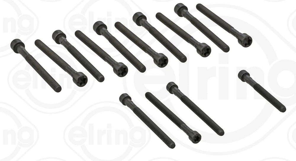Комплект болтов головки блока цилиндров (ГБЦ) ELRING 270.190