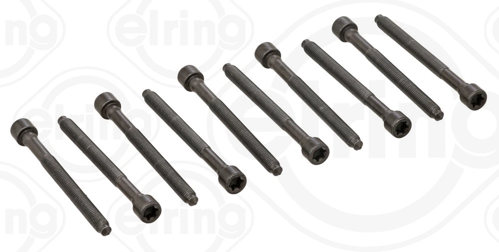 Комплект болтов головки блока цилиндров (ГБЦ) ELRING 325.930