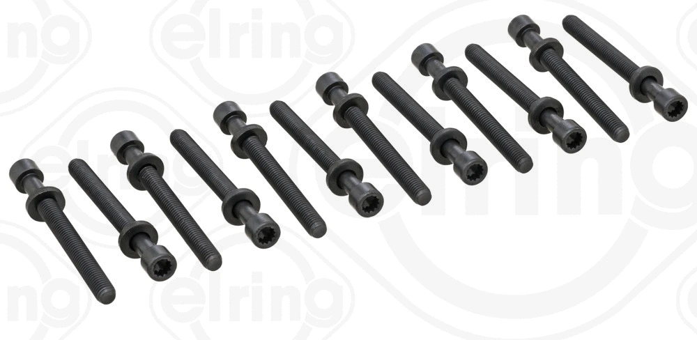 Комплект болтов головки блока цилиндров (ГБЦ) ELRING 819.875