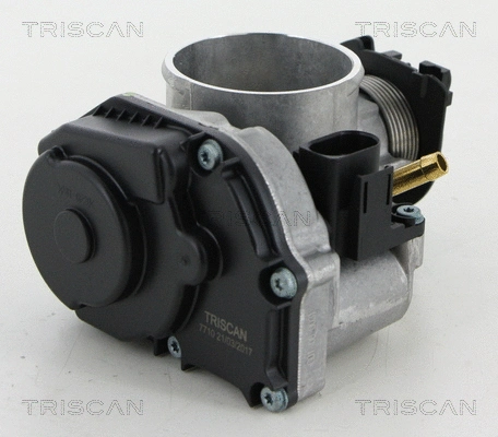 Корпус дроссельной заслонки TRISCAN 8820 29016
