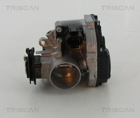 Корпус дроссельной заслонки TRISCAN 8820 29010 - Фото 1