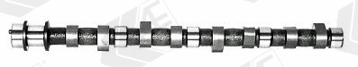 Распредвал AE CAM389