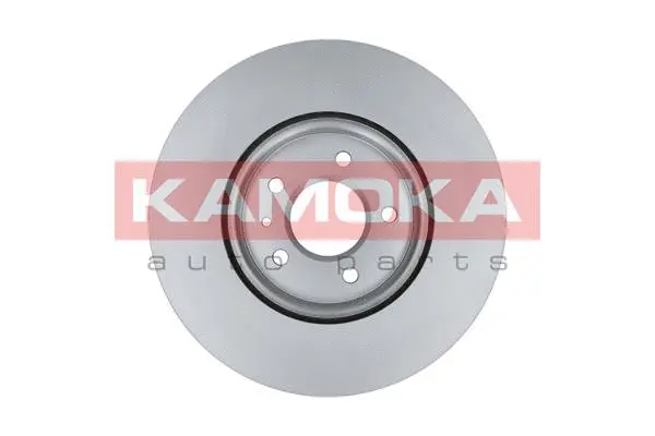 Гальмівний диск KAMOKA 103311 - Фото 1