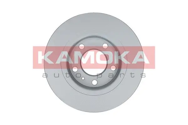 Гальмівний диск KAMOKA 103170 - Фото 1