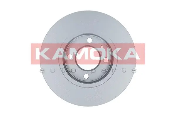 Гальмівний диск KAMOKA 103252 - Фото 1