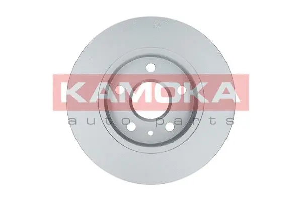 Тормозной диск KAMOKA 103119 - Фото 1
