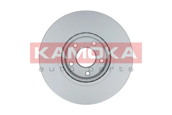 Гальмівний диск KAMOKA 103290 - Фото 1