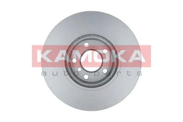 Гальмівний диск KAMOKA 103295 - Фото 1