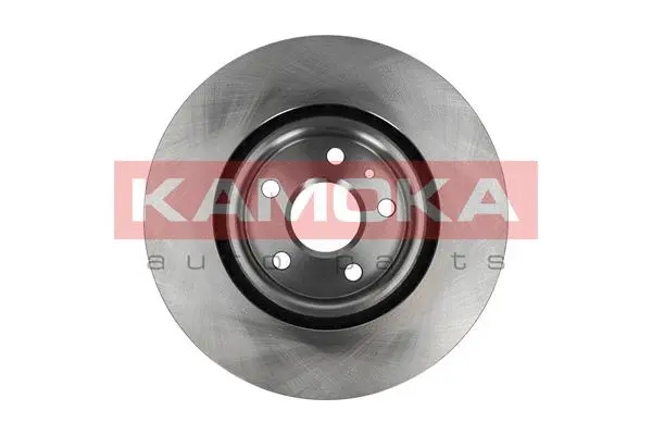 Тормозной диск KAMOKA 103135 - Фото 1
