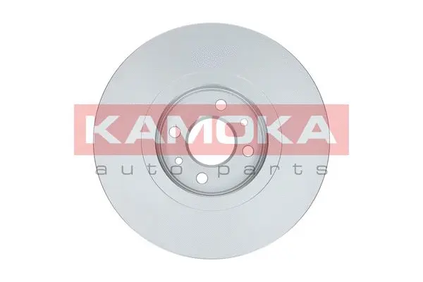 Тормозной диск KAMOKA 1033026 - Фото 1
