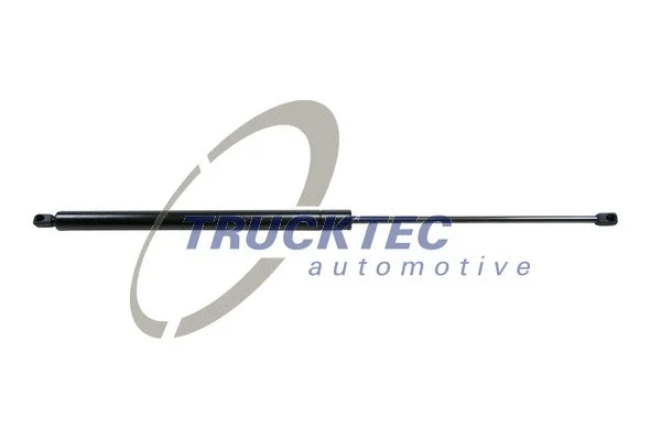 Газовая пружина, крышка отделени TRUCKTEC AUTOMOTIVE 02.62.008