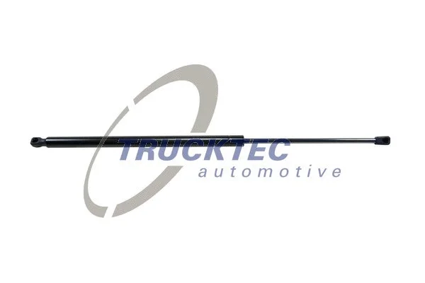 Газовая пружина, крышка отделени TRUCKTEC AUTOMOTIVE 02.62.009