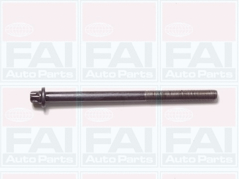 Комплект болтов головки блока цилиндров (ГБЦ) FAI AutoParts B1050