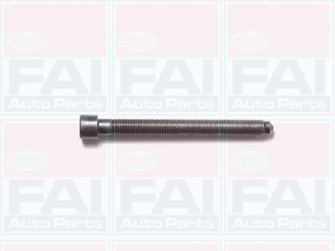 Комплект болтов головки блока цилиндров (ГБЦ) FAI AutoParts B1006