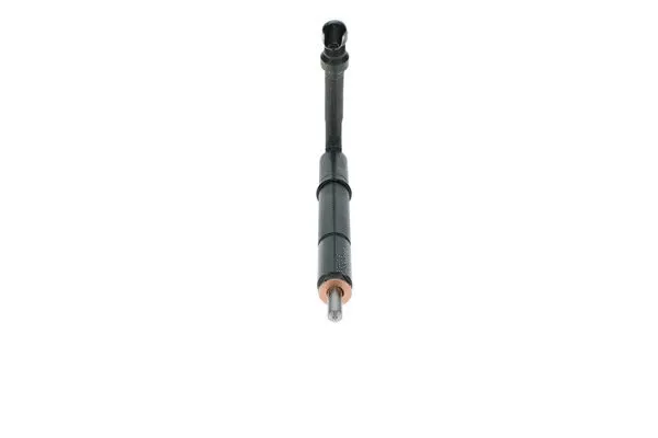 Распылитель BOSCH F 01G 09X 03S - Фото 1