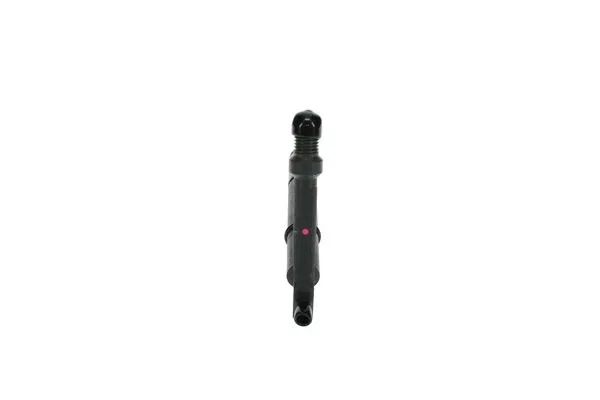 Распылитель BOSCH F 01G 09X 03S