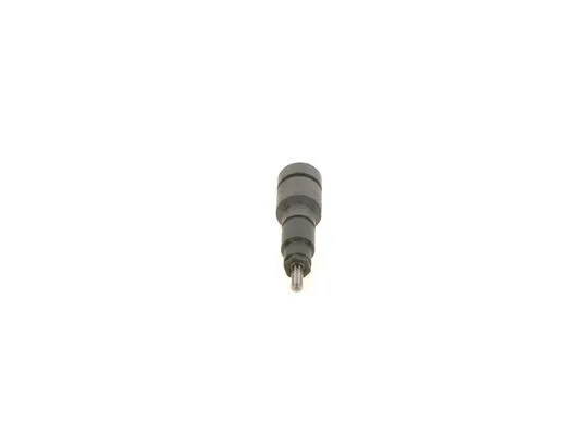Распылитель BOSCH 0 432 191 419