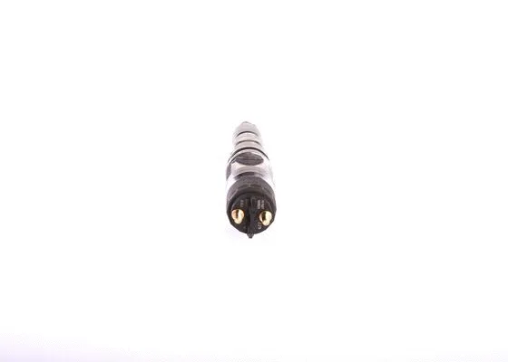 Форсунка BOSCH 0 445 120 354