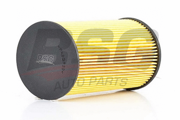 Топливный фильтр BSG BSG 90-130-005