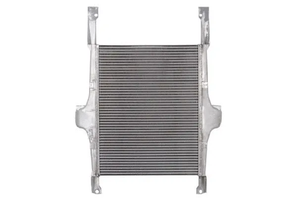 Интеркулер THERMOTEC DAIV002TT - Фото 1