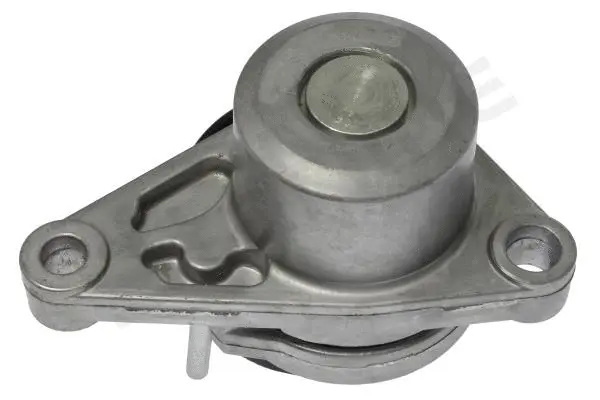 Натяжитель поликлинового ремня STARLINE RS D25010