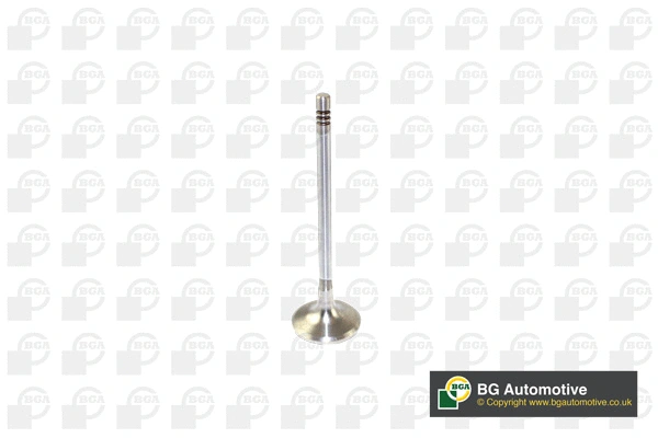 Впускной клапан BGA V166200