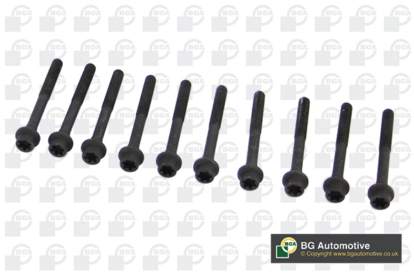 Комплект болтов головки блока цилиндров (ГБЦ) BGA BK4303