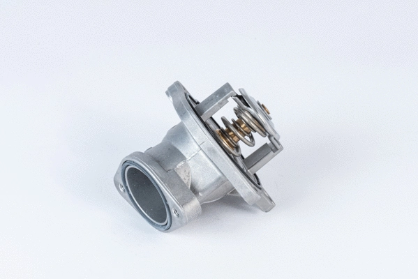 Термостат WAHLER 4832.87D