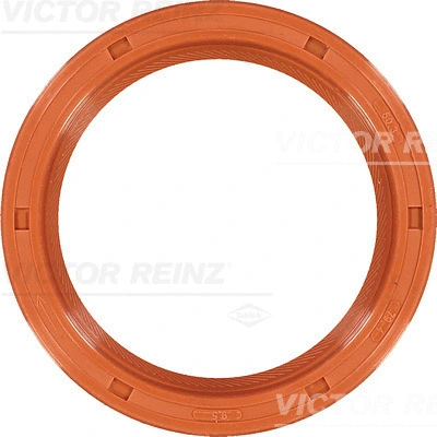 Уплотнительное кольцо REINZ 81-10099-00 (коленвал, распредвал)